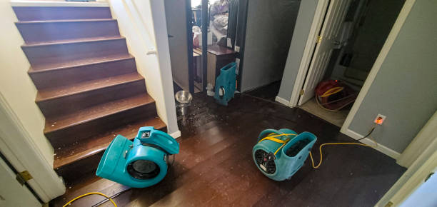 Best Professional water damage repair  in Jenkintown, PA