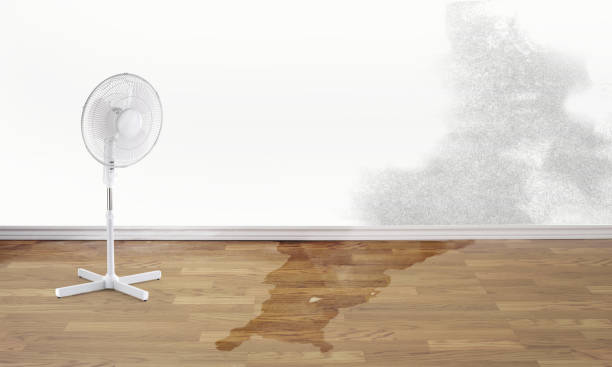 24/7 water damage repair in Jenkintown, PA
