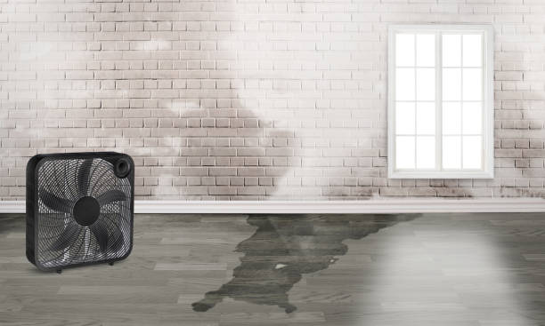Trusted Jenkintown, PA Water damage restoration Experts