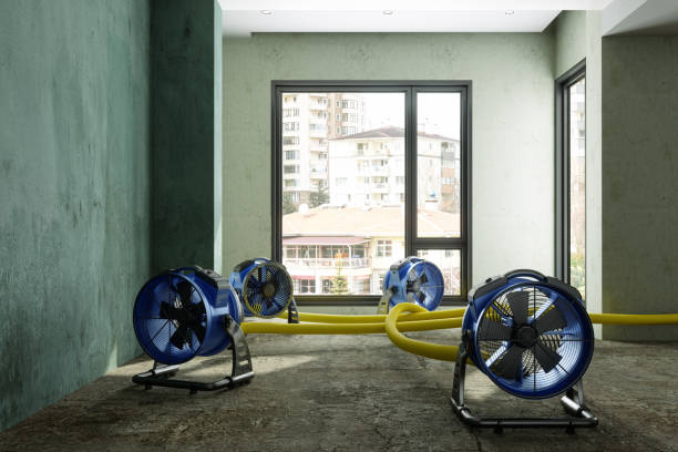 Best Water damage restoration near me  in Jenkintown, PA